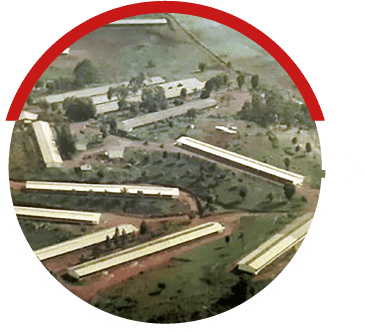 História 002